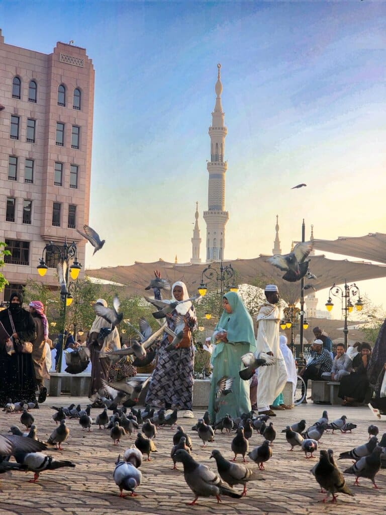 vibrant scene with pigeons at historic mosque