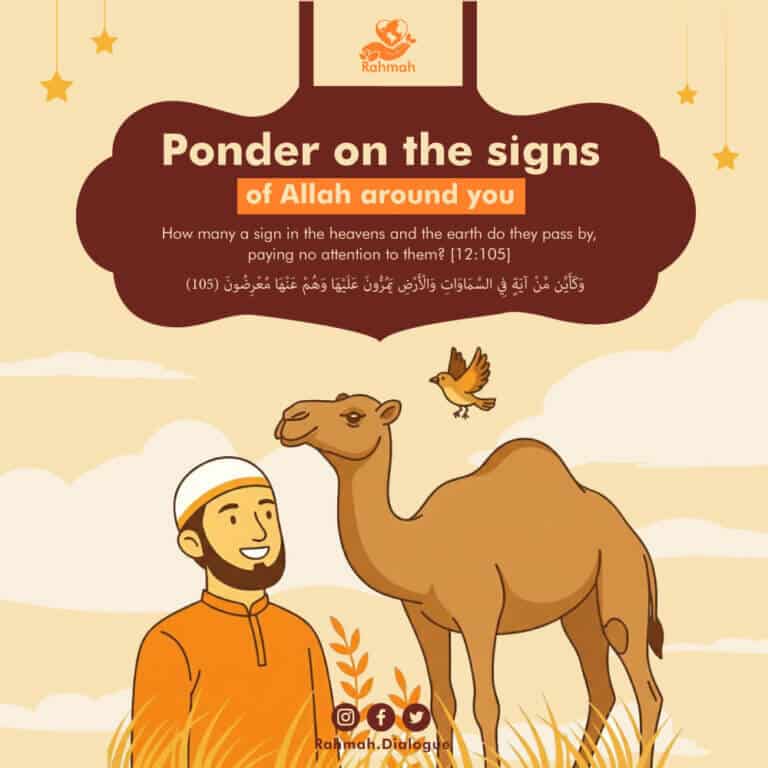 Ponder on the signs of Allah around you 7 Ponder on the signs of Allah around you