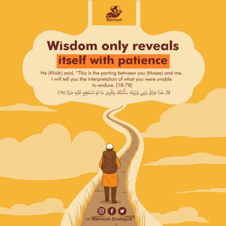 Wisdom only reveals itself with patience