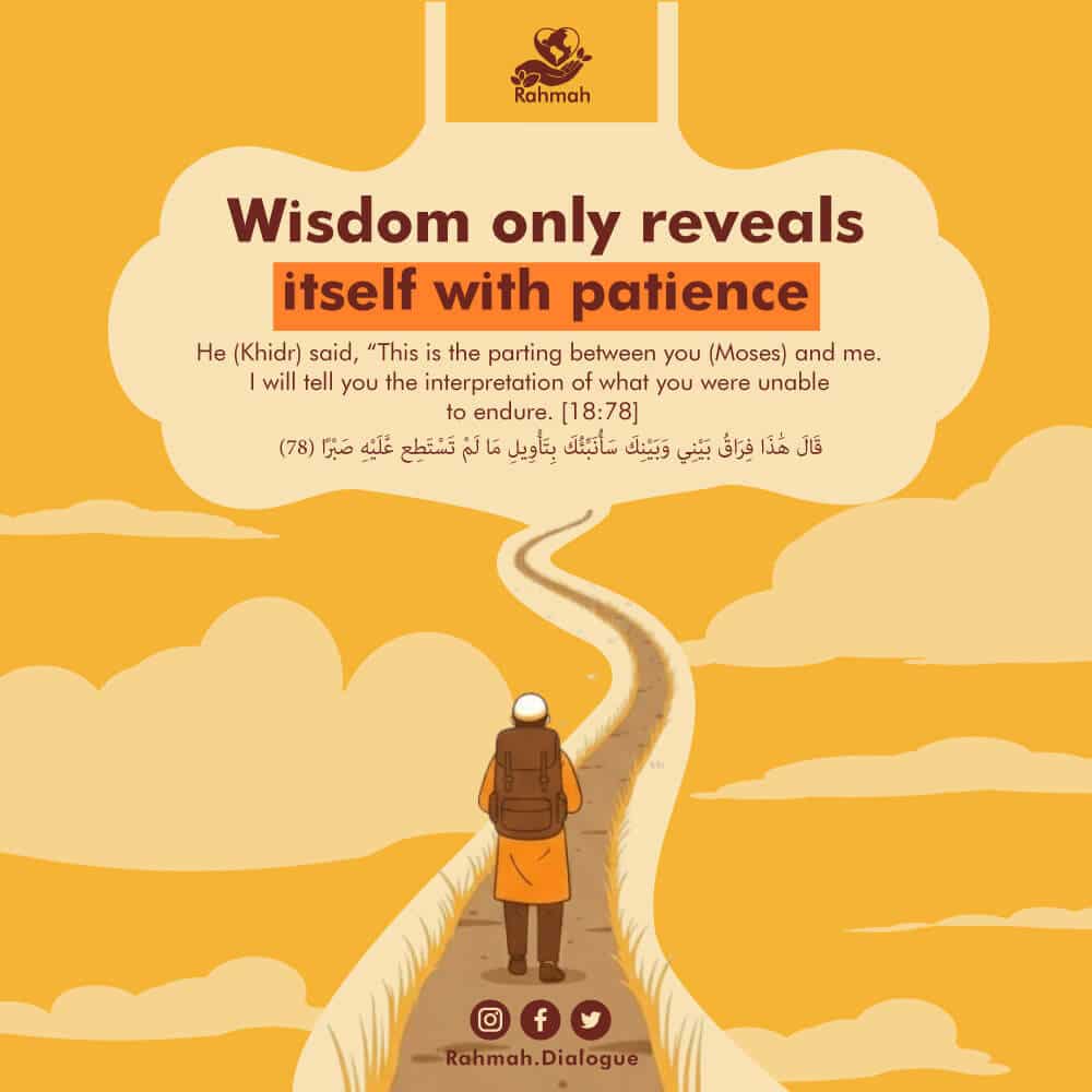Wisdom only reveals itself with patience 1 46